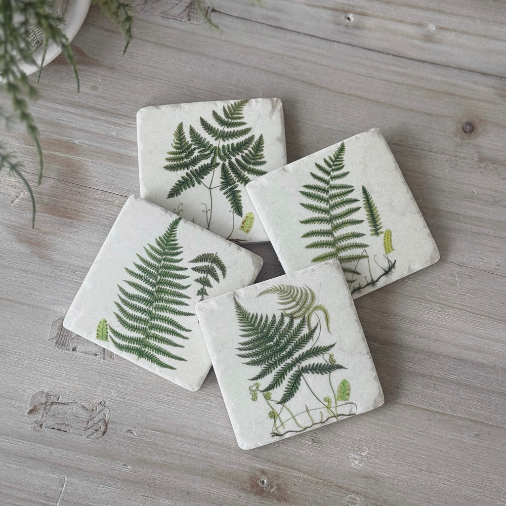 Set Of 4 Fern Coasters