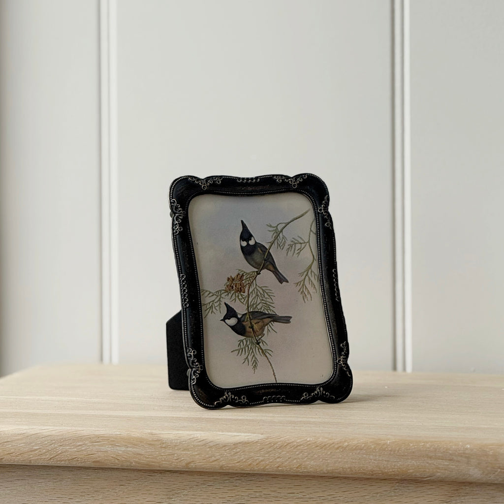 Vintage Style Bronze Frame