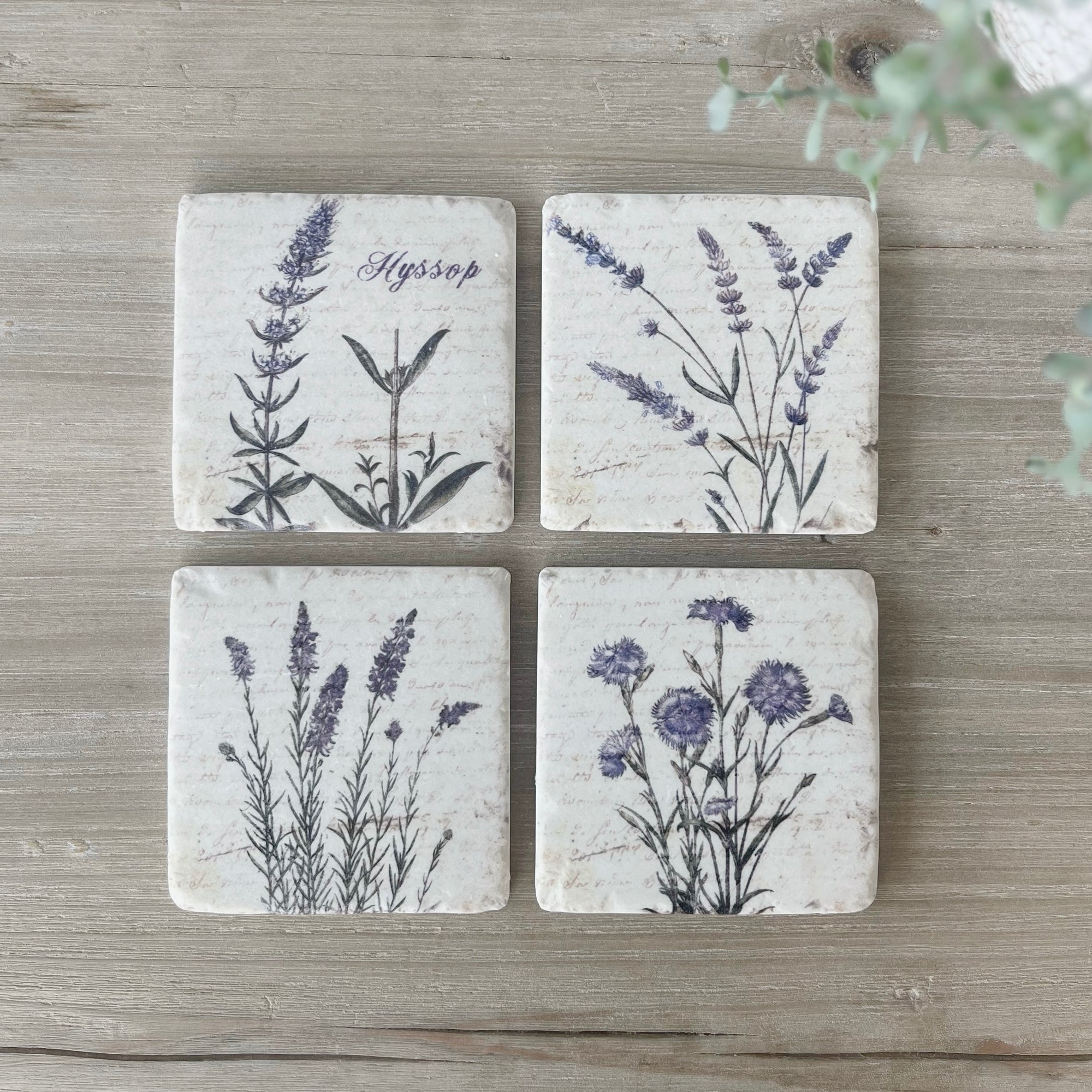 Set of 4 Wild Flower Coasters