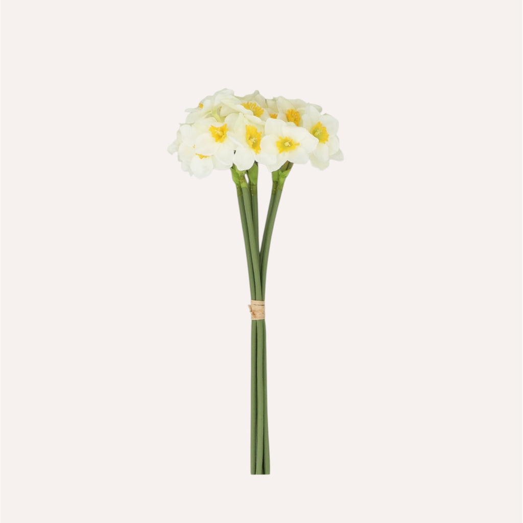 White Narcissus Bunch