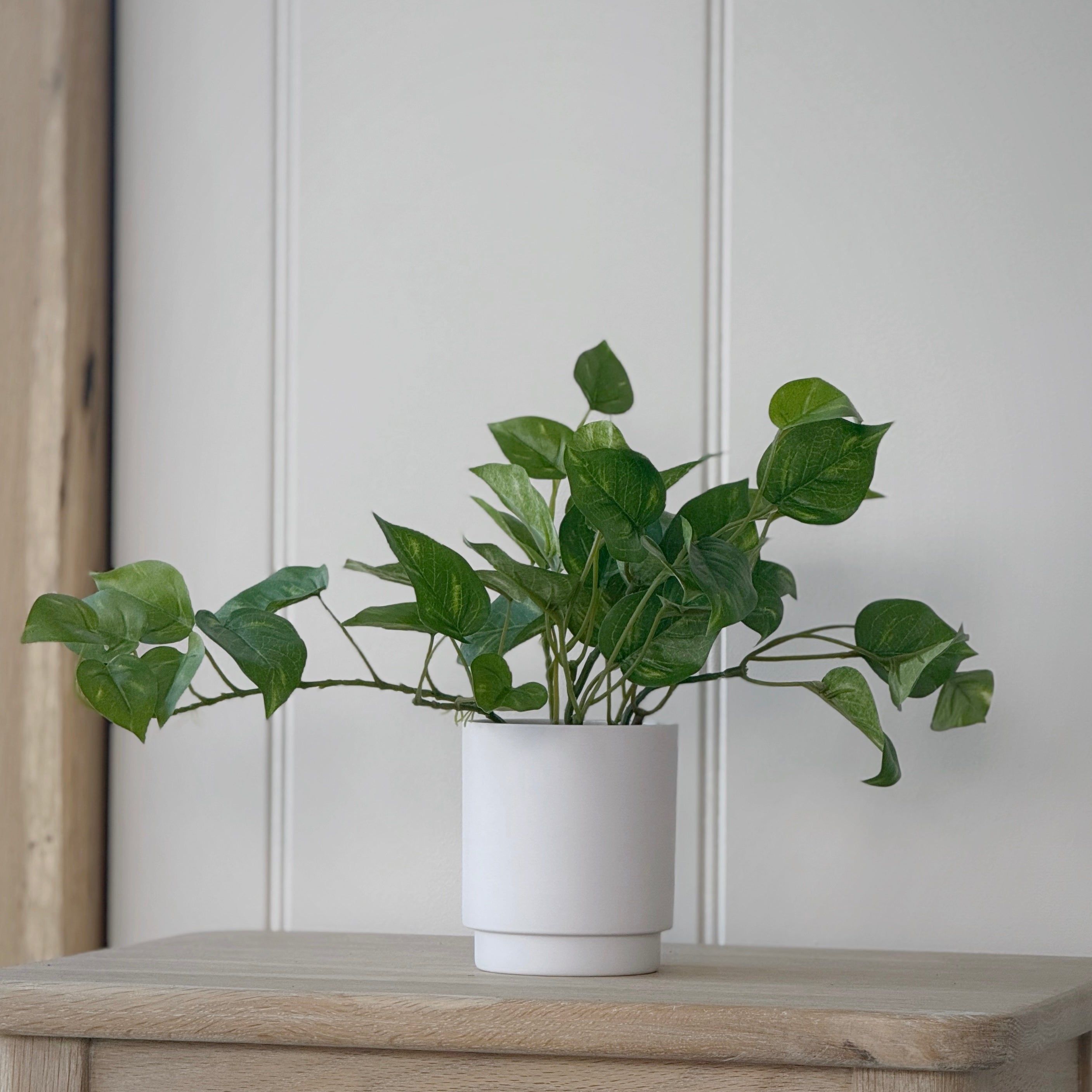 faux pothos Faux Pothos Plant – Daisy Daze Homeware