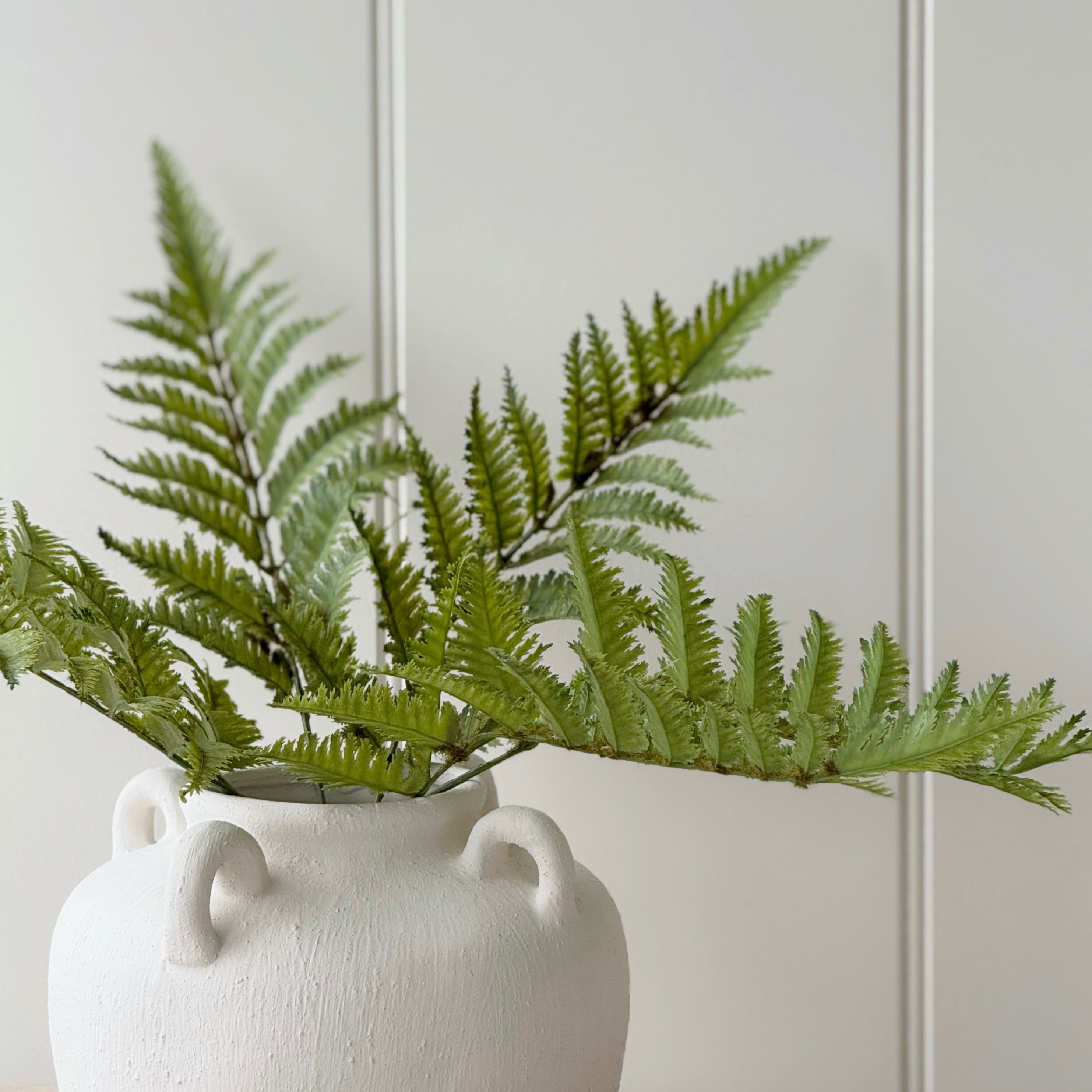 Fern Spray