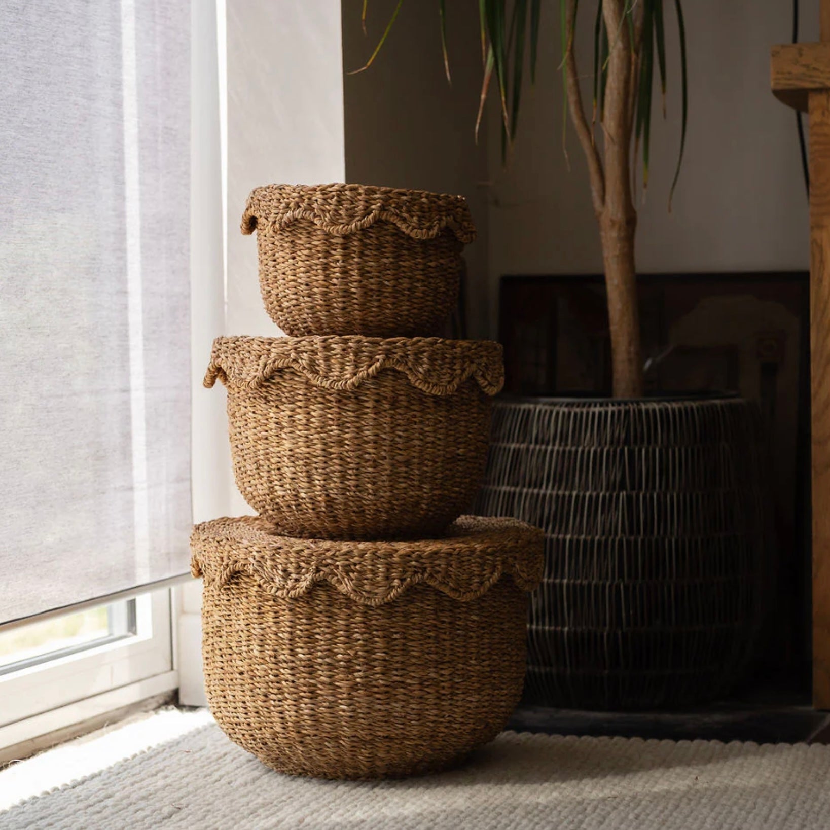 Scallop Lidded Storage Basket