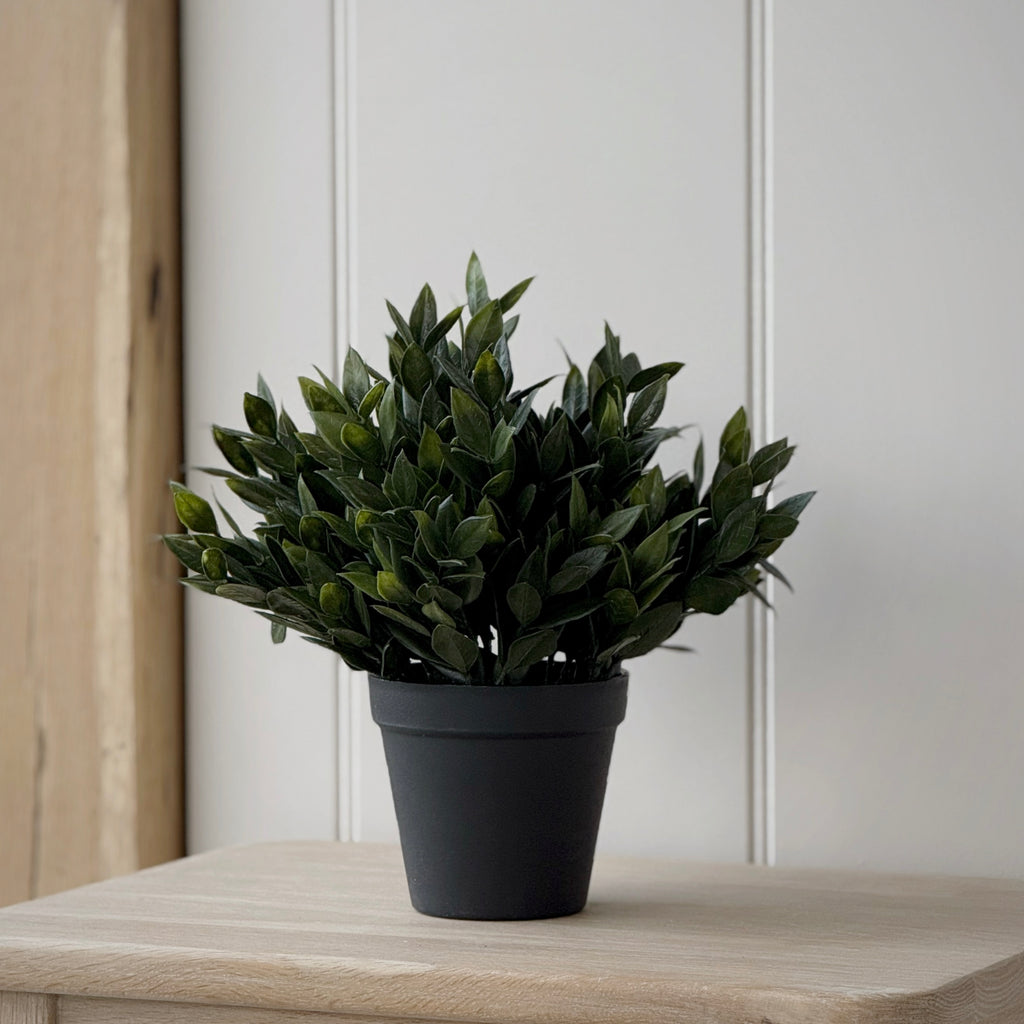 Faux Green Succulent