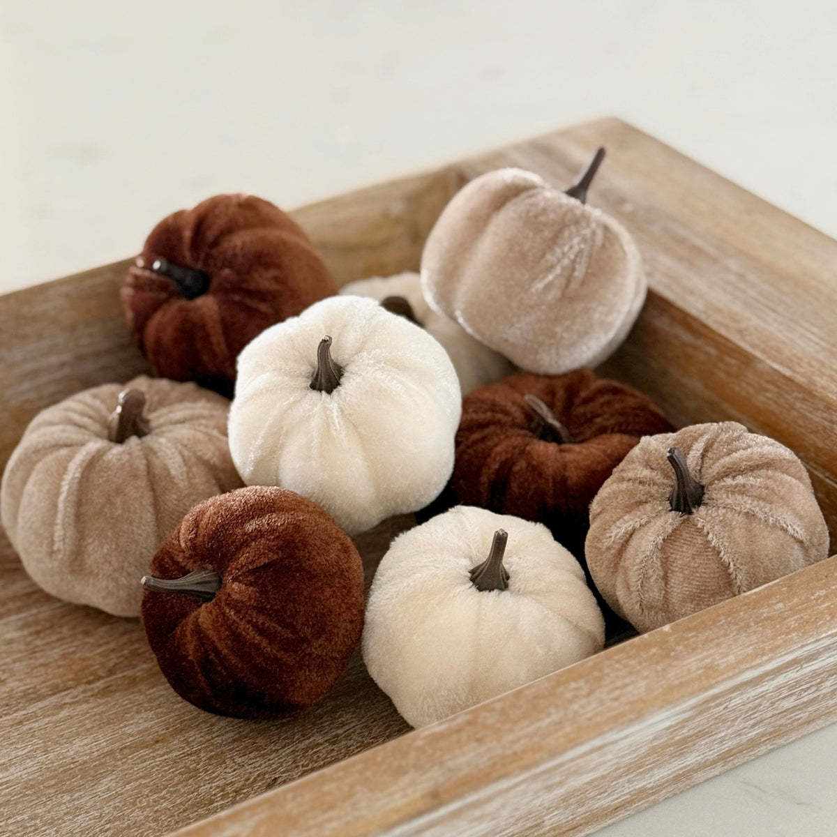 Chocolate Mix Pumpkins