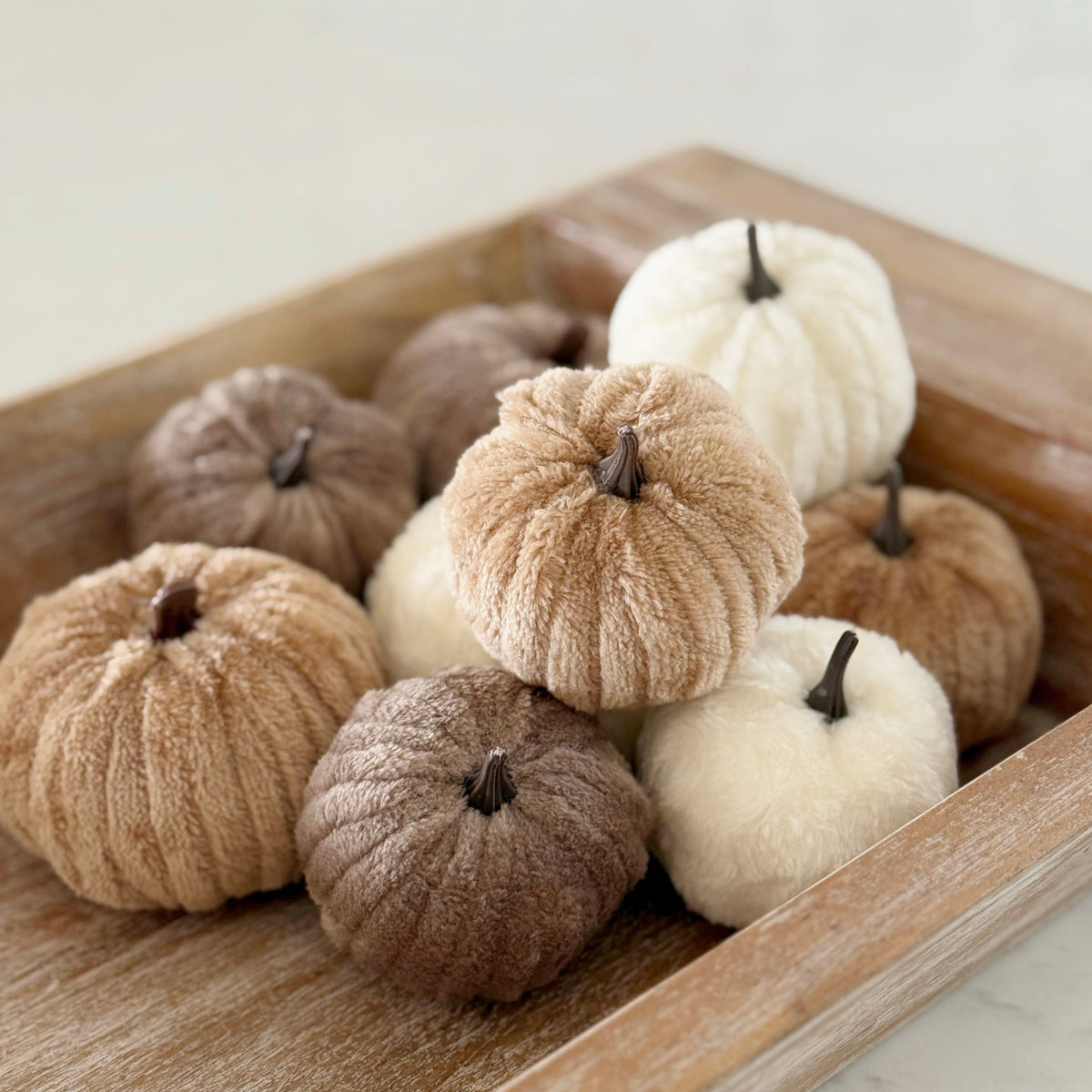 Caramel Mix Pumpkins