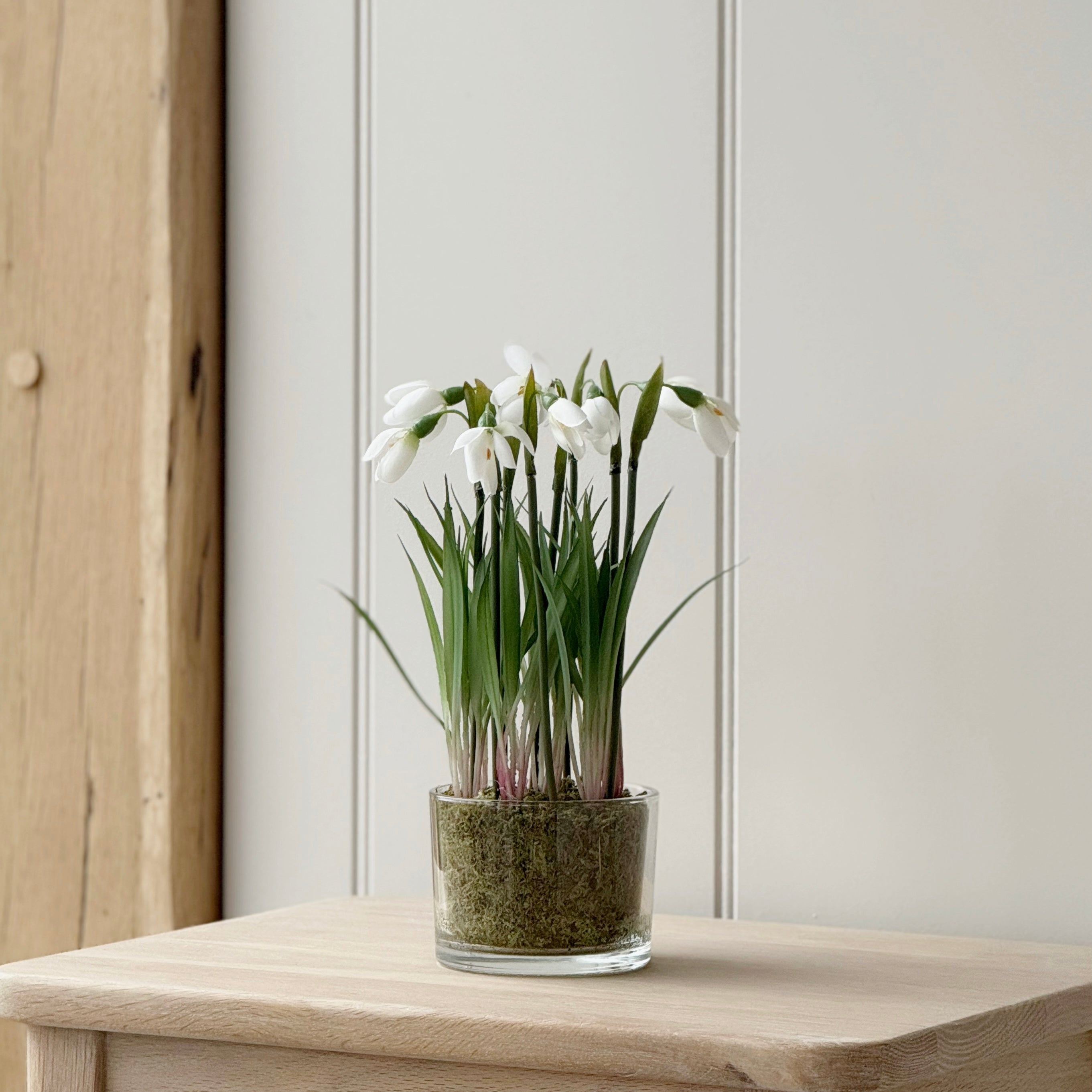 Snowdrop Plant In Glass Pot
