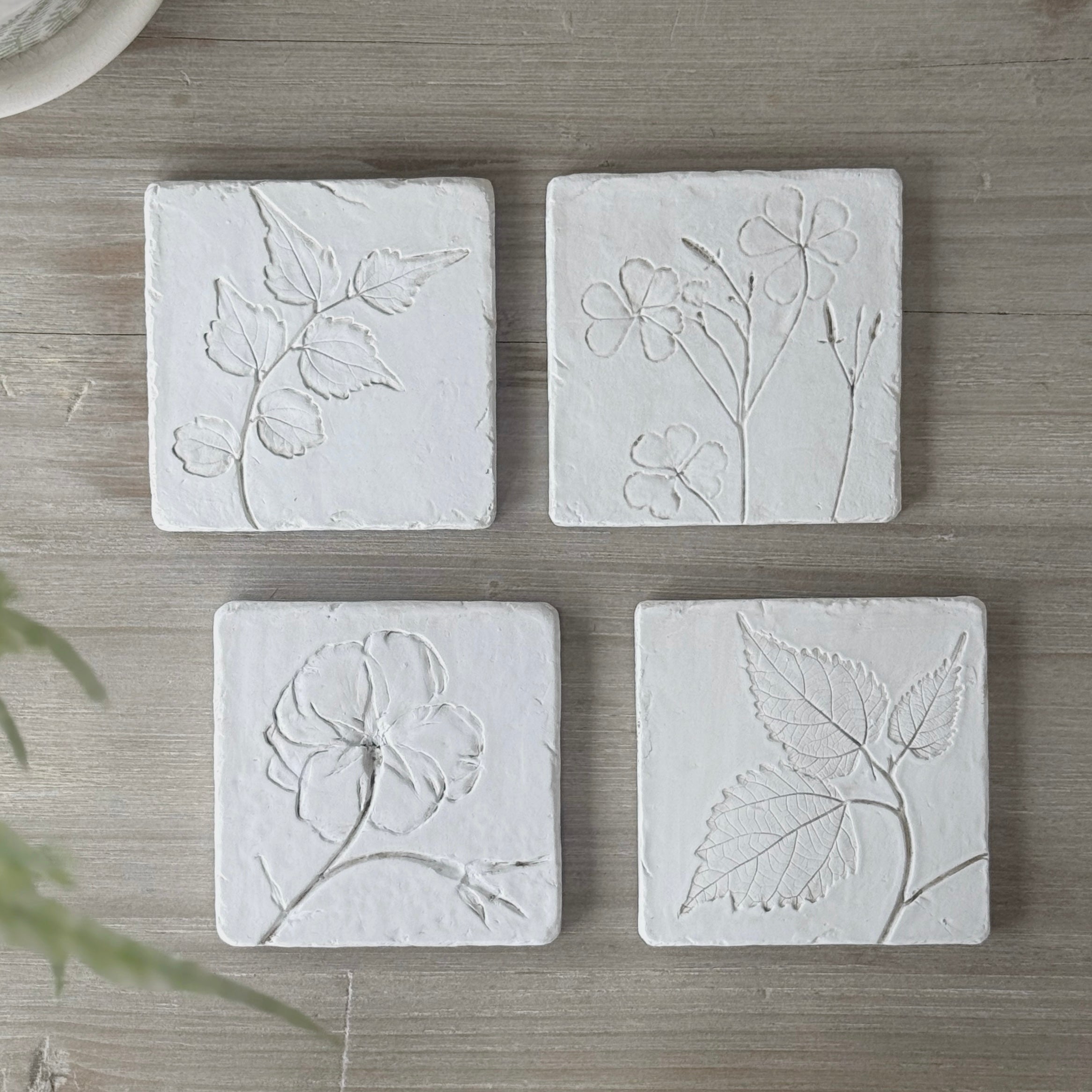 Set Of 4 Botanical Coasters