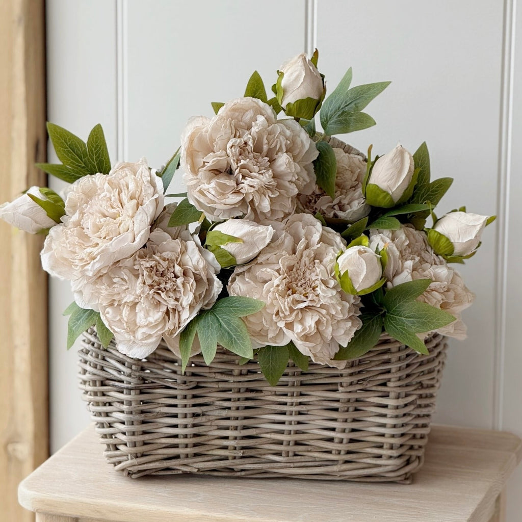 Oyster Dried Touch Open Peony