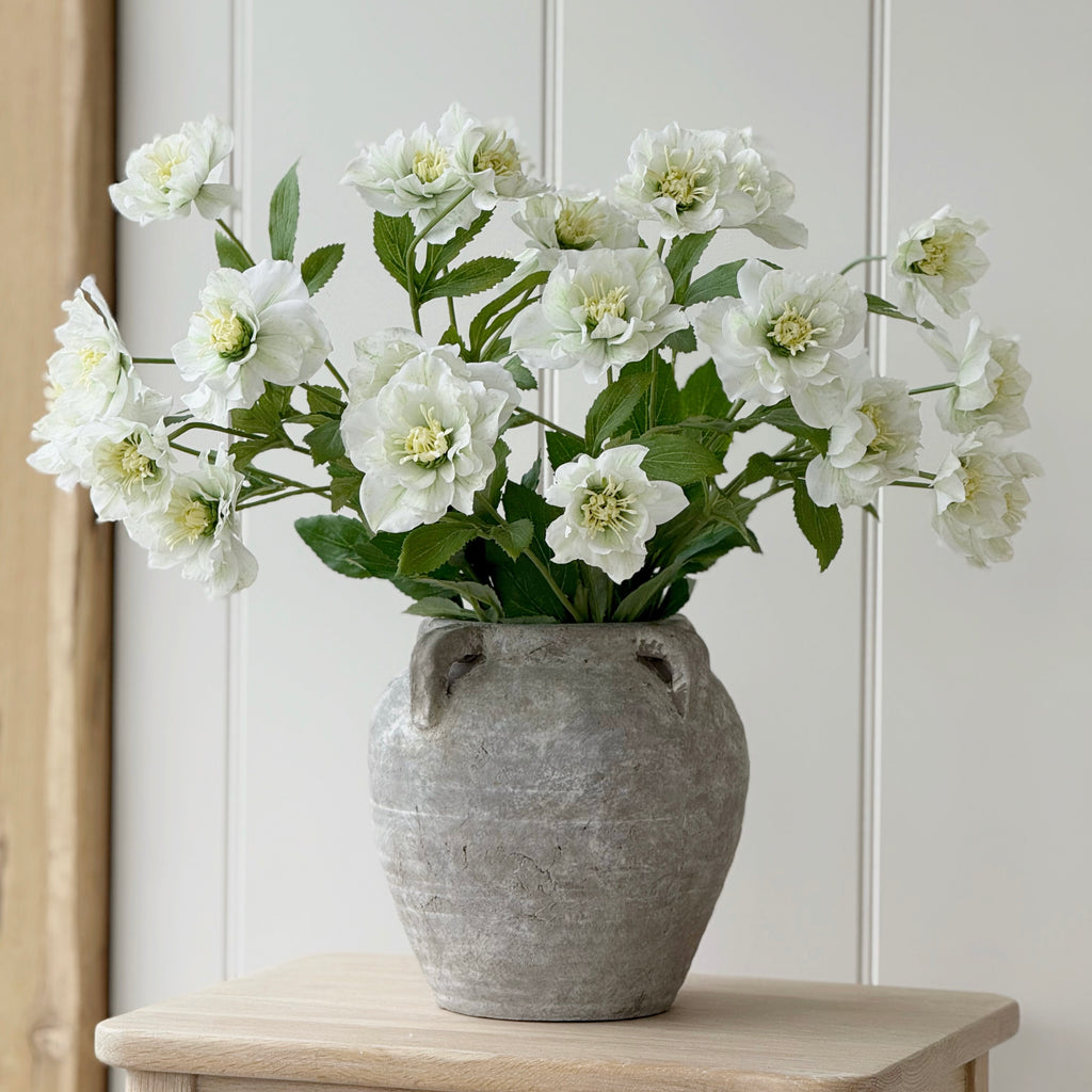 White Hellebore Spray