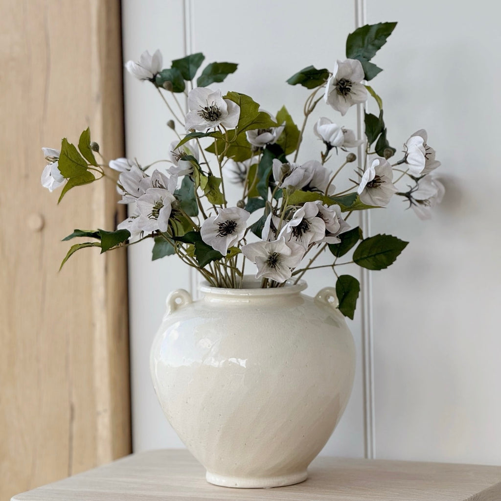 Hellebore Stem