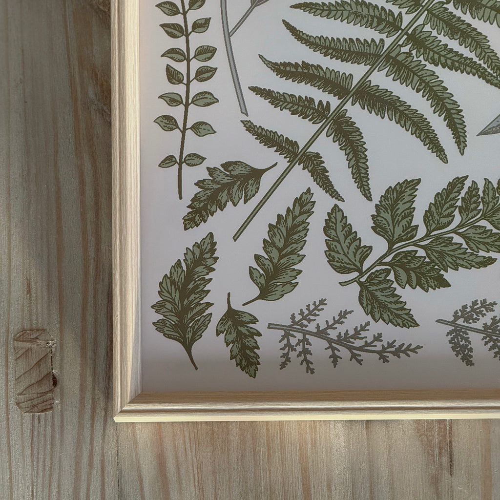 Leaf Framed Print