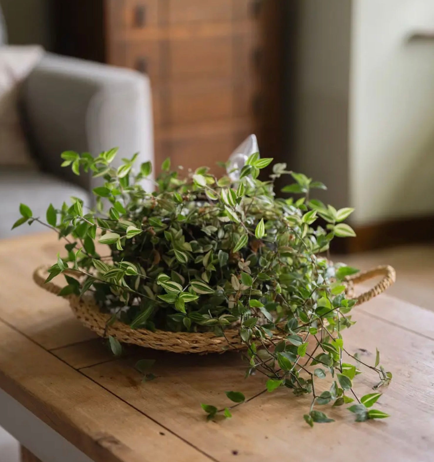 Hand Woven Seagrass Tray