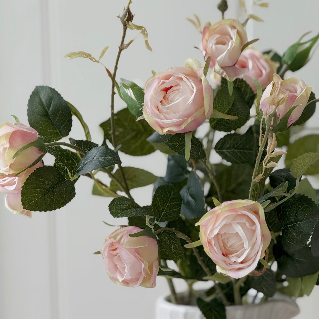 Pink English Cabbage Rose Spray