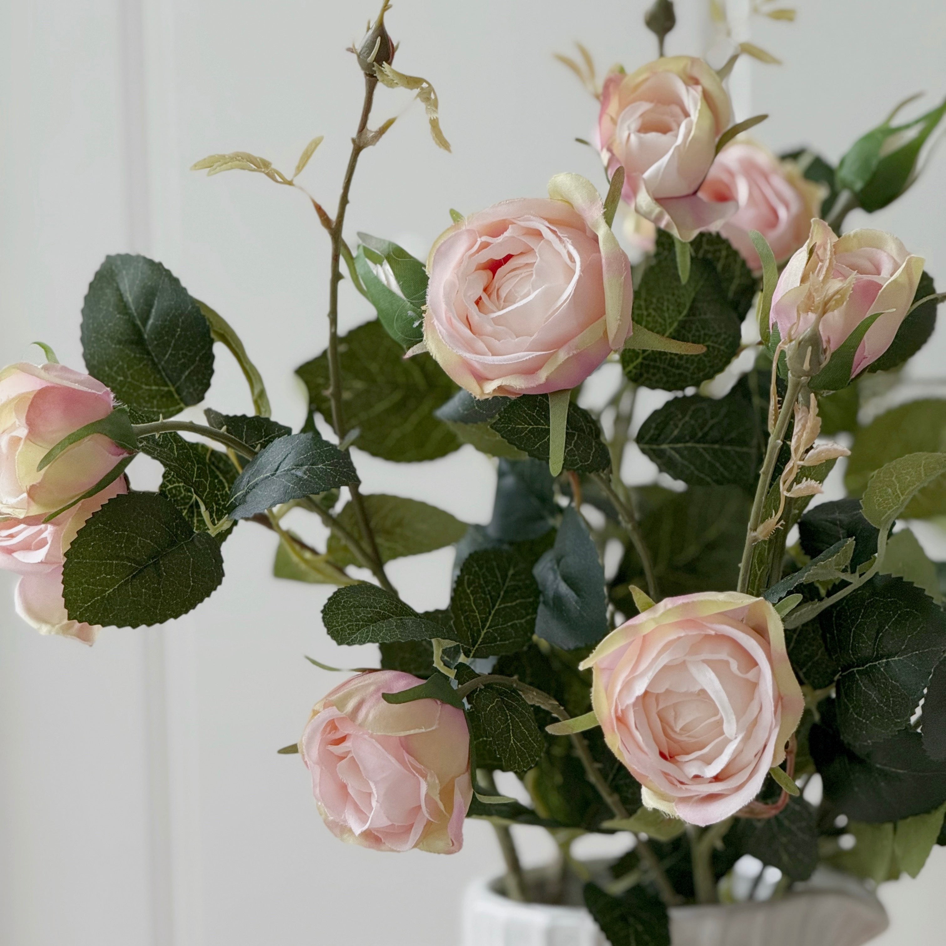 Pink English Cabbage Rose Spray