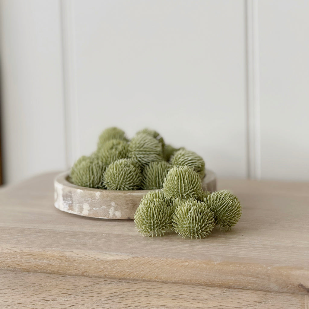 24 Green Echinops Balls