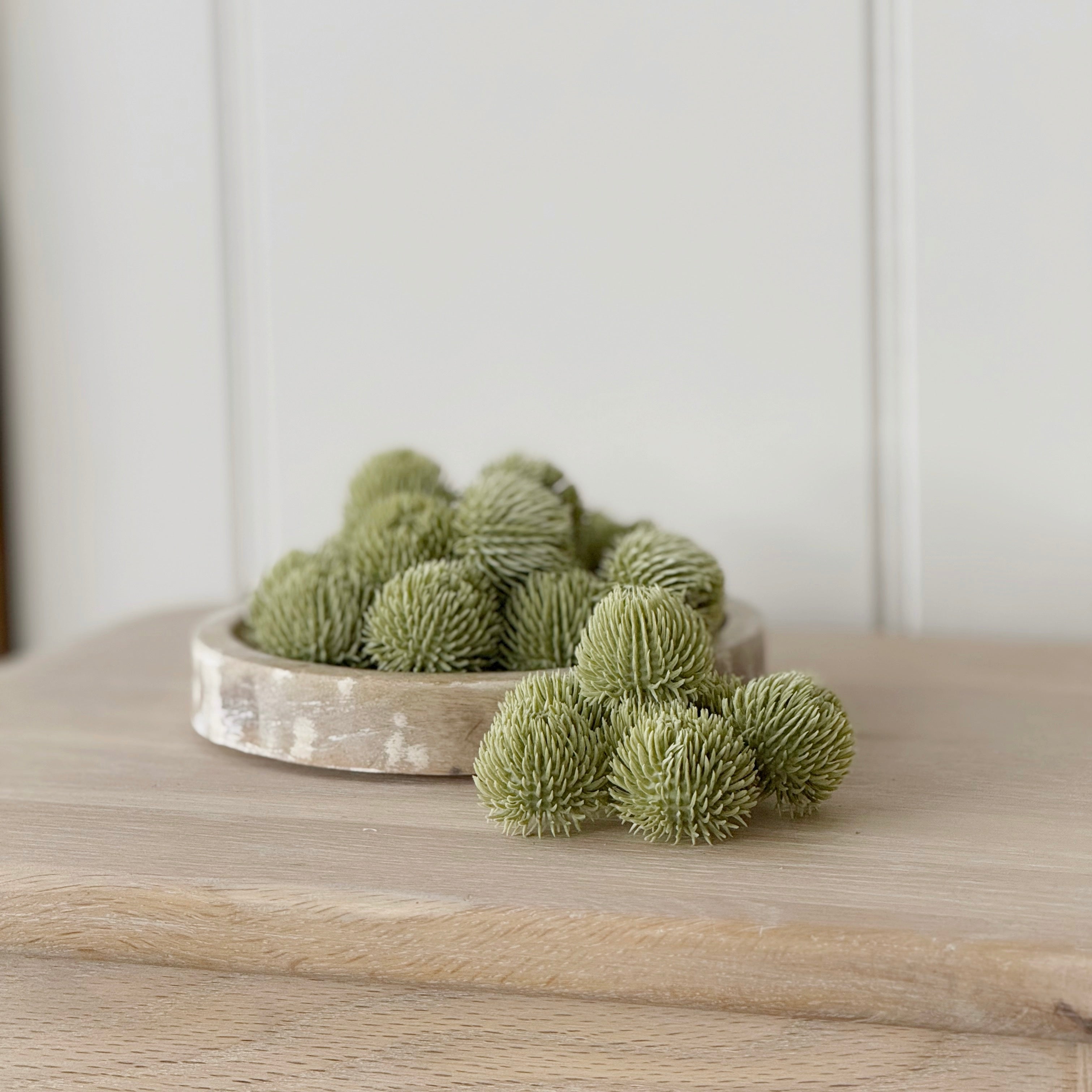 24 Green Echinops Balls