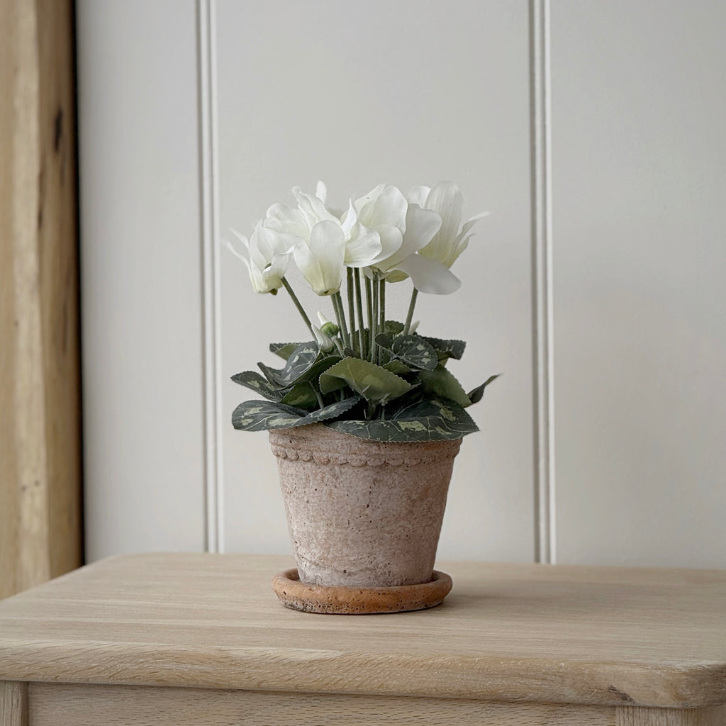 Small Milton Planter