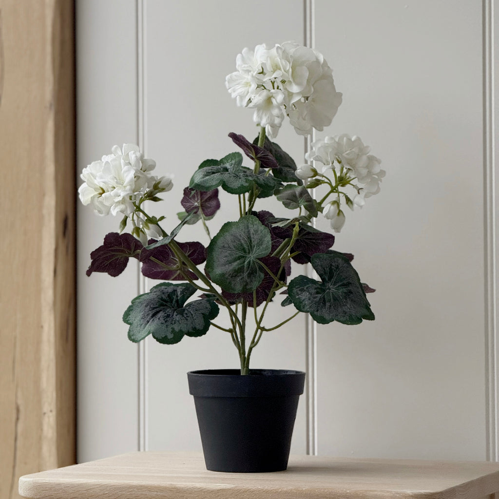 Large Faux White Geranium