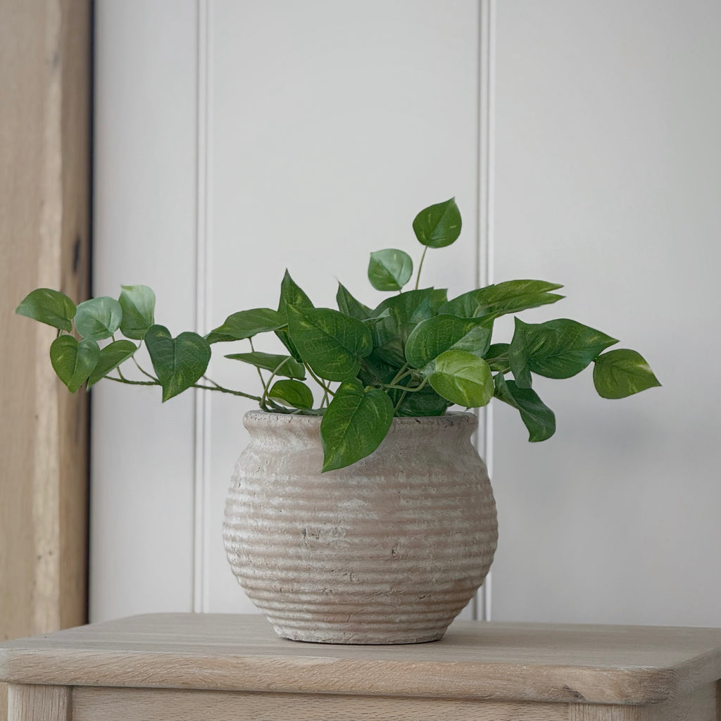 Faux Pothos Plant