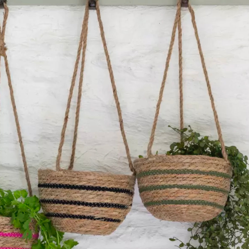 Green Stripe Seagrass Hanging Basket