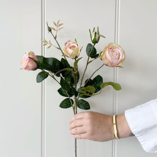 Pink English Cabbage Rose Spray