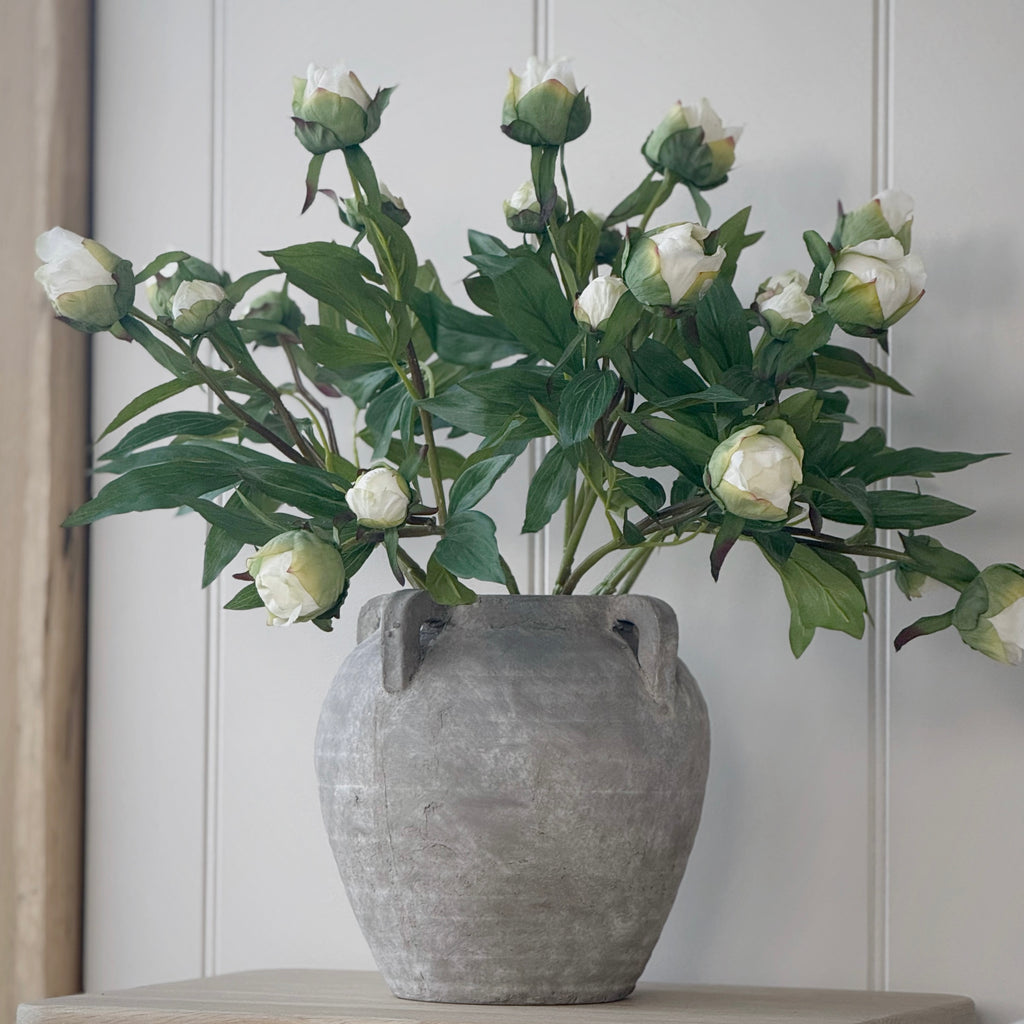 White Peony Bud Stem