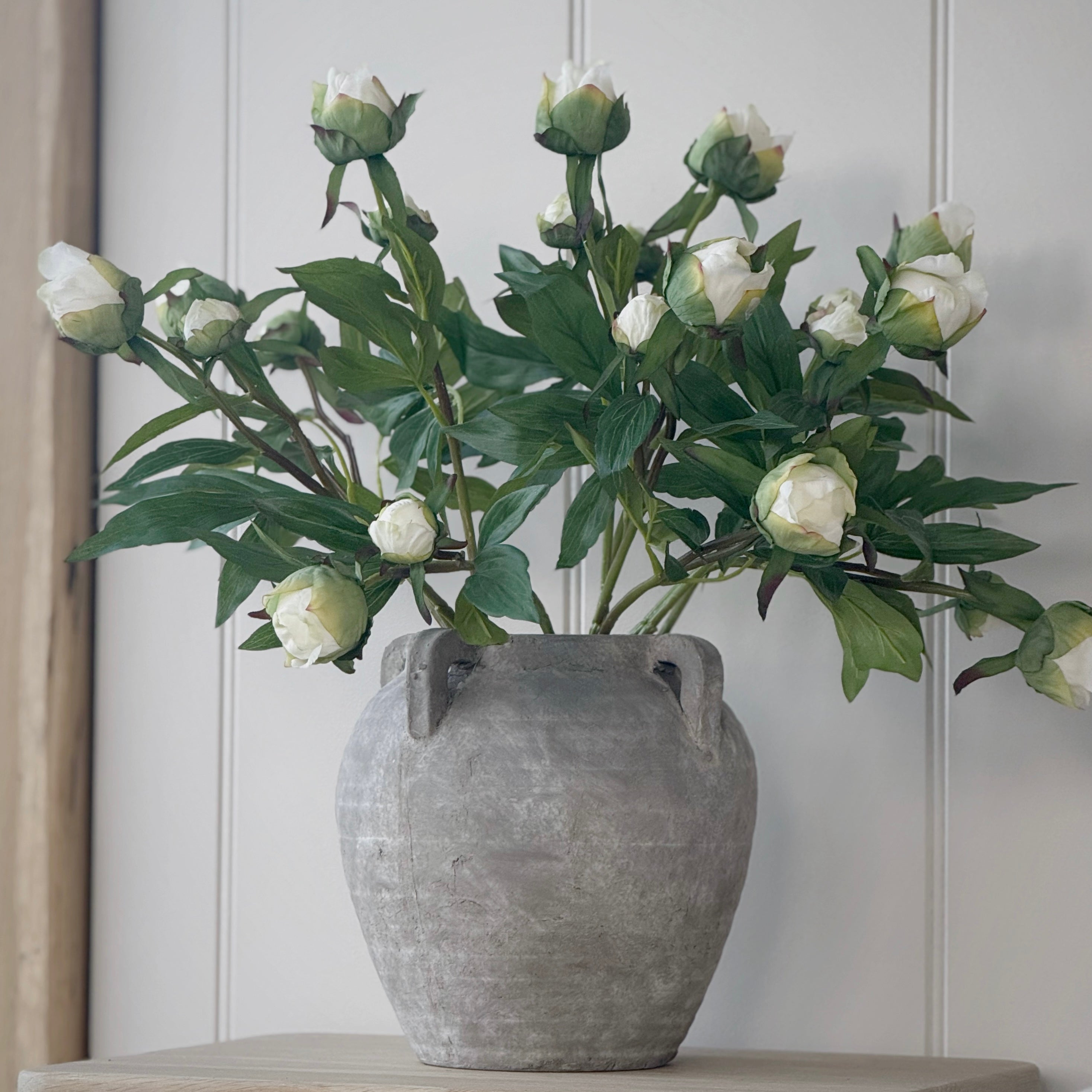 White Peony Bud Stem