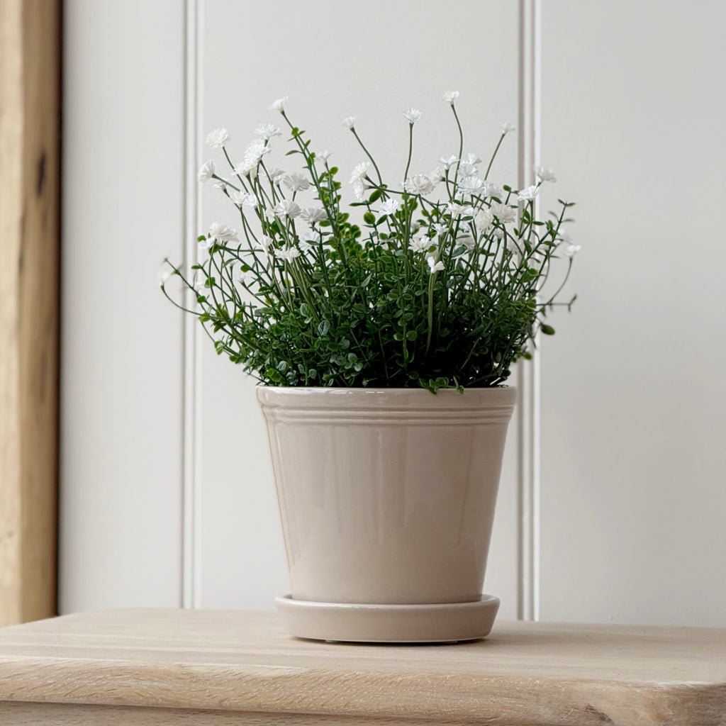 Beige Emelina Pot With Saucer