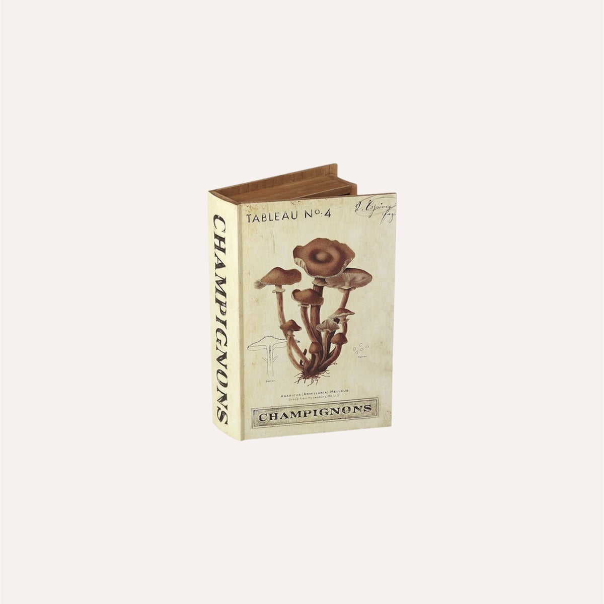 Autumn Wooden Storage Book