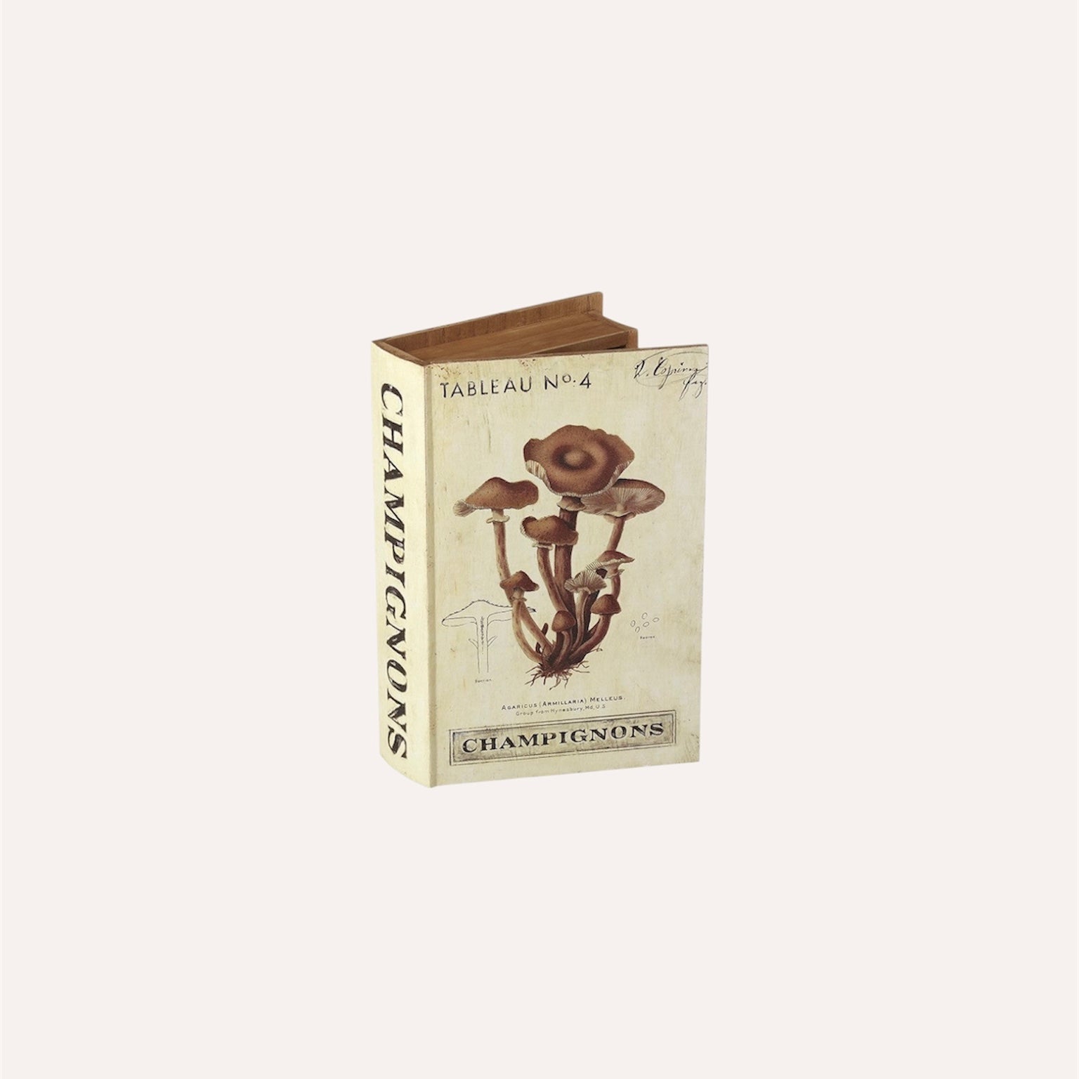 Autumn Wooden Storage Book