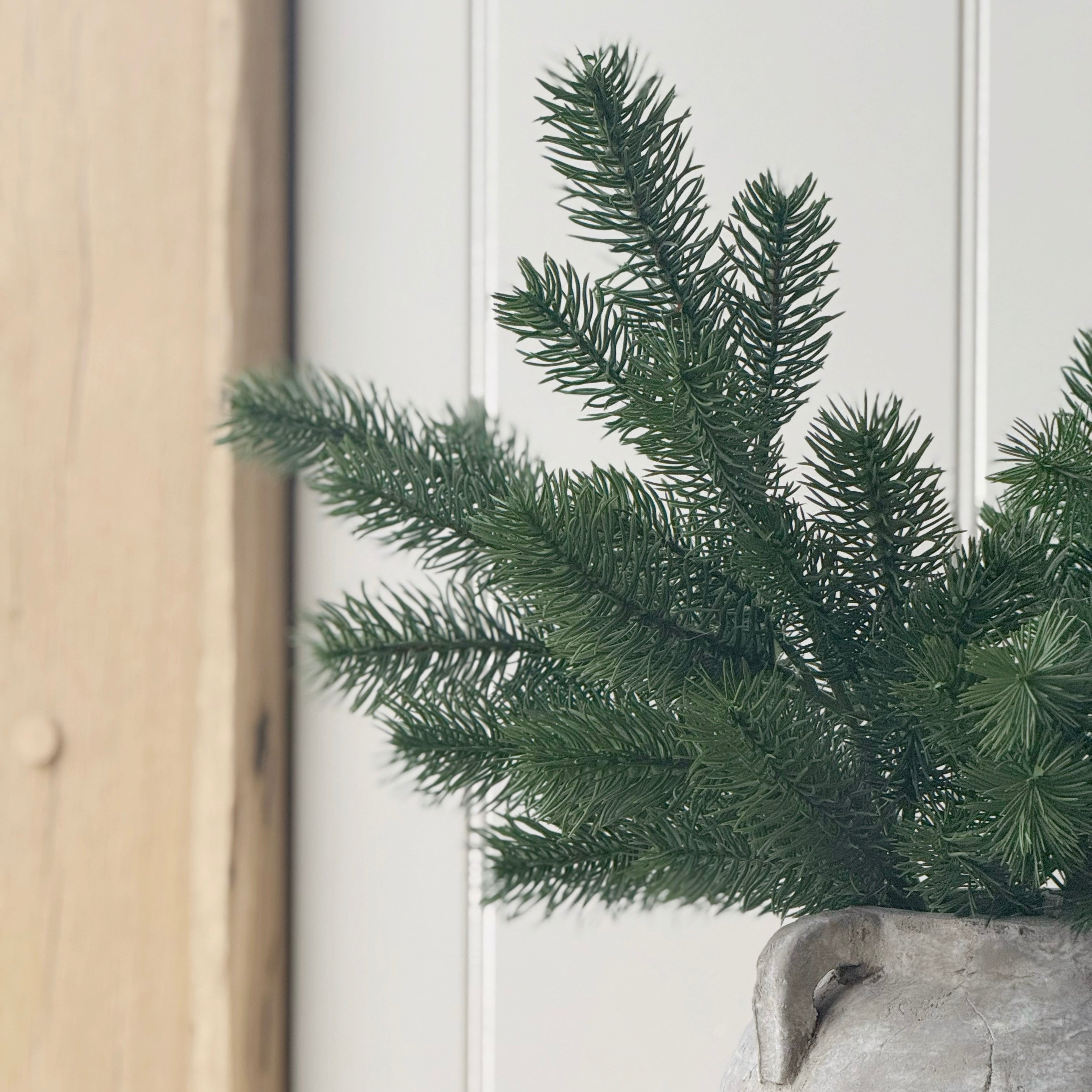 Bayberry Pine Spray
