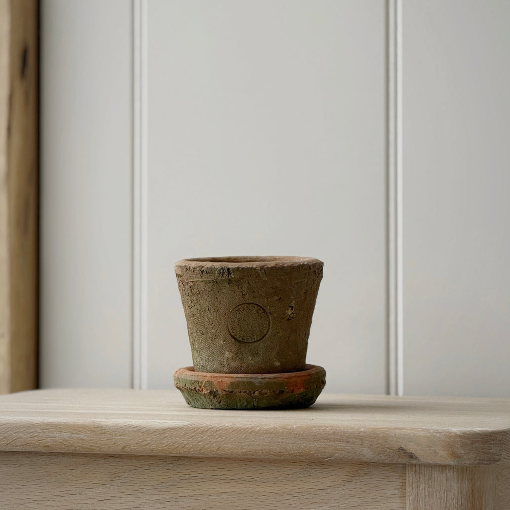 Small Kew Terracotta Pot