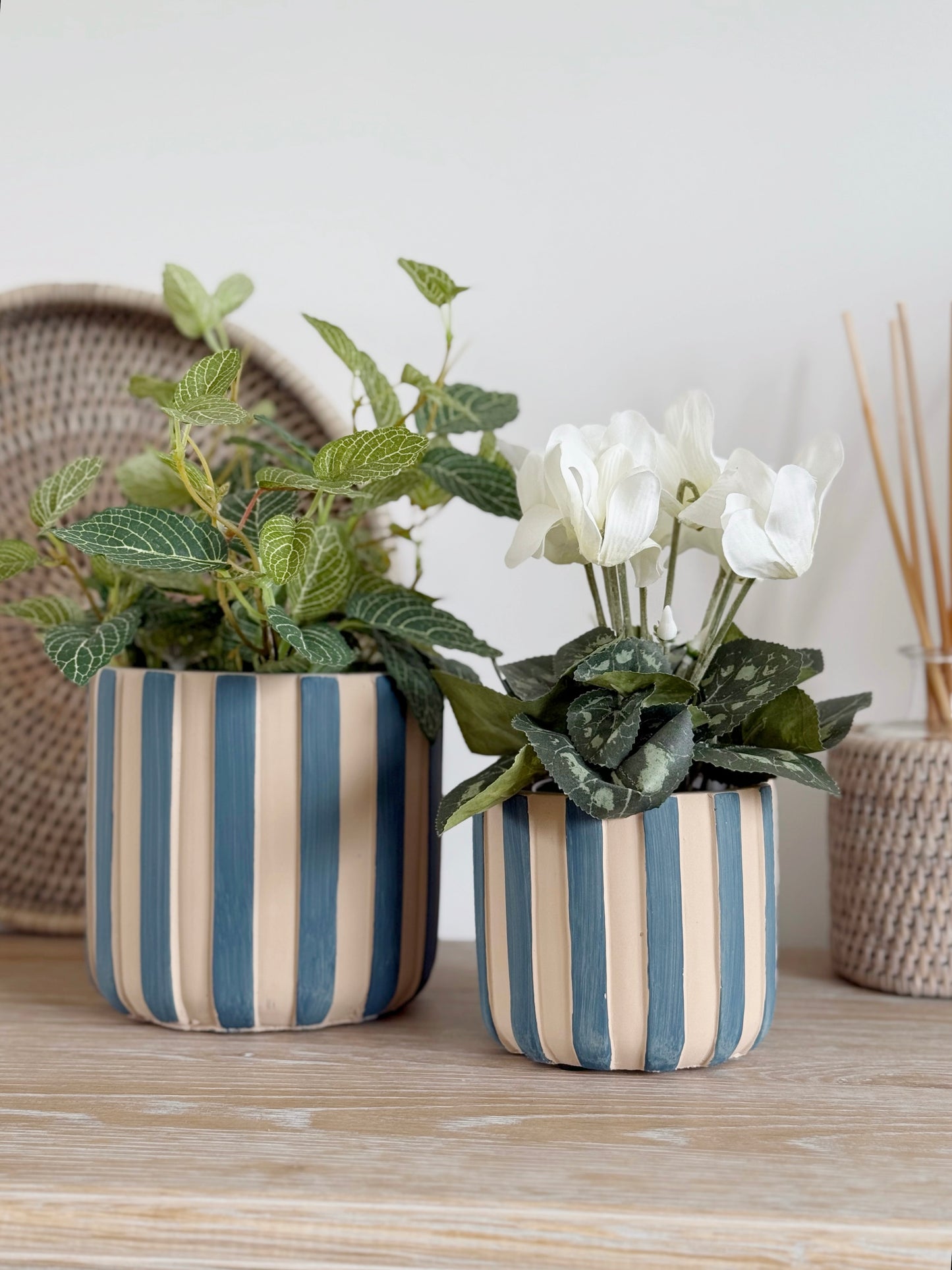 Blue Stripe Pot