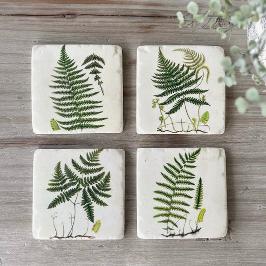 Set of 4 Fern Coasters
