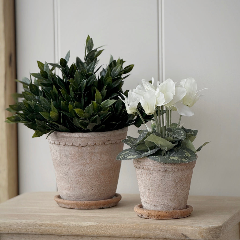 Medium Milton Planter
