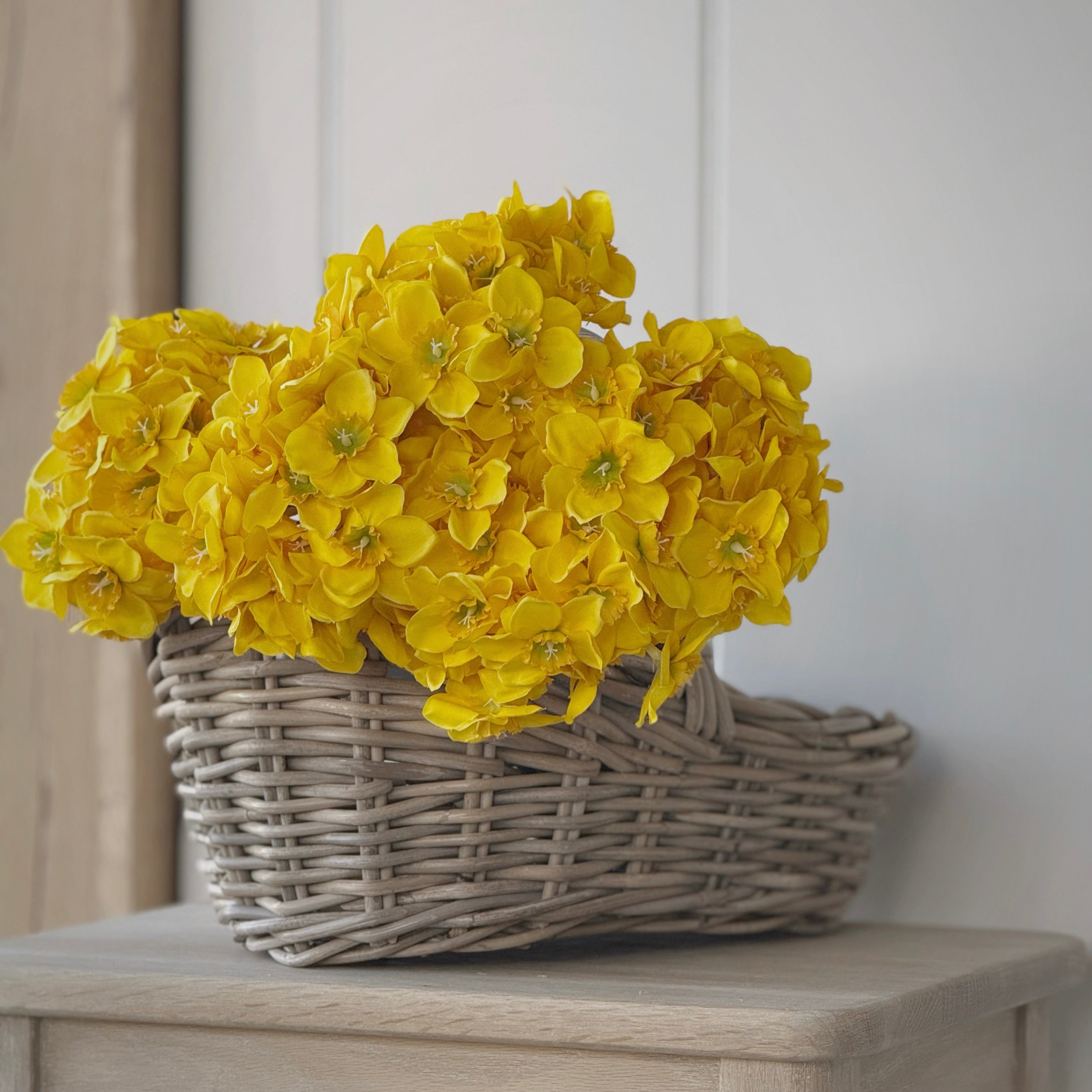 Yellow Narcissus Bunch