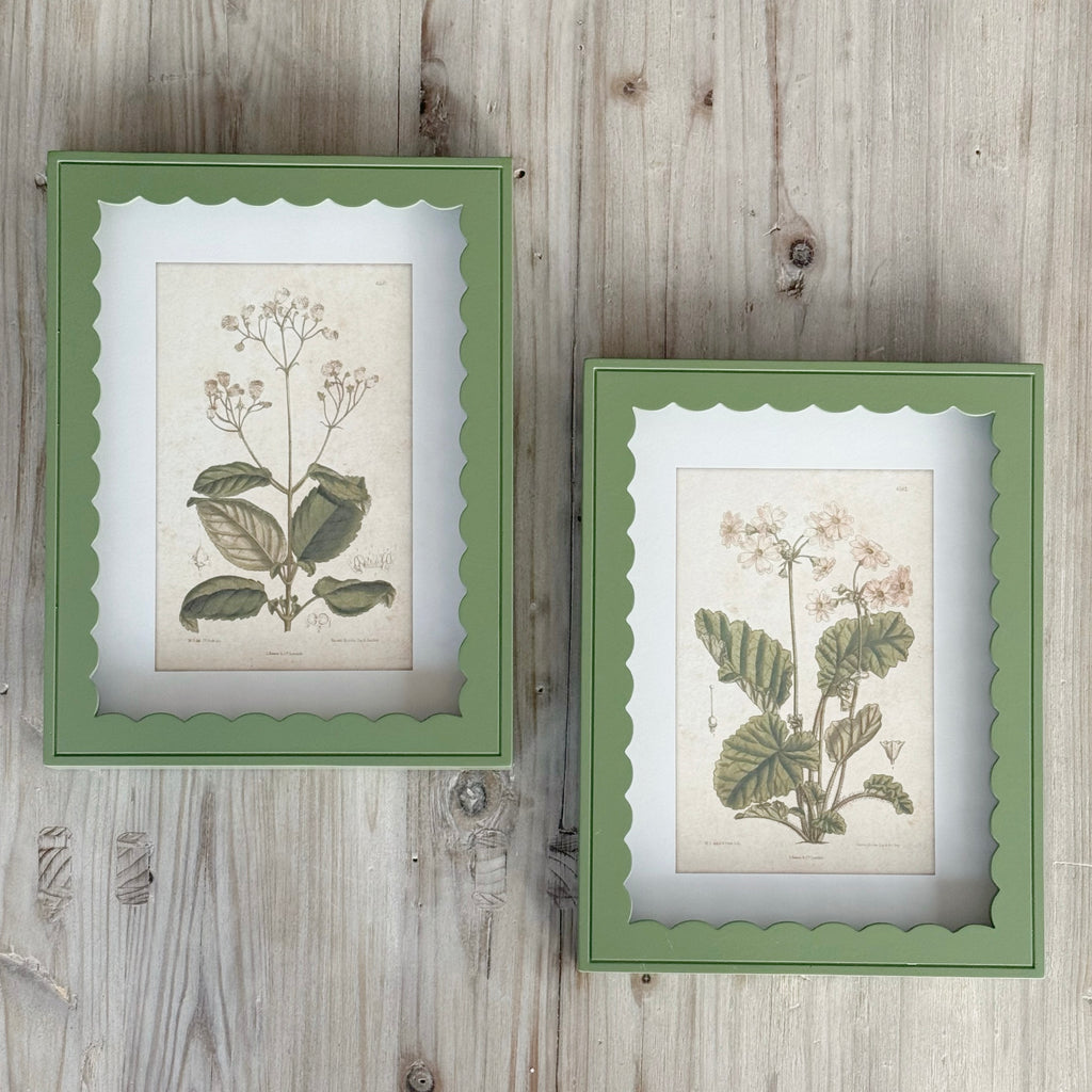 Set of 2 Scallop Primula Prints