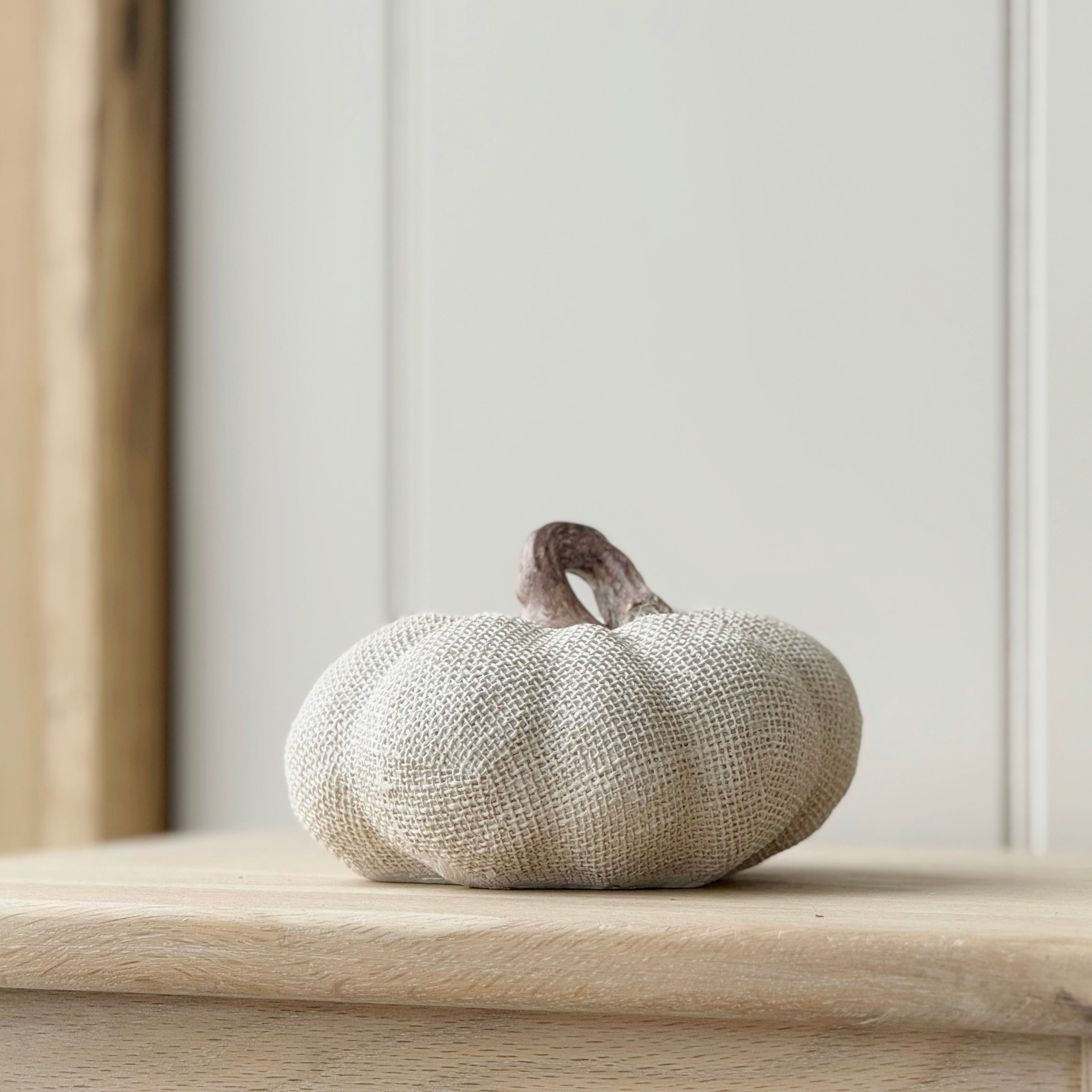 Textured Pumpkin