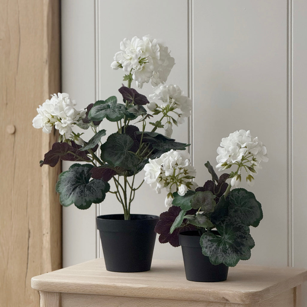 Large Faux White Geranium