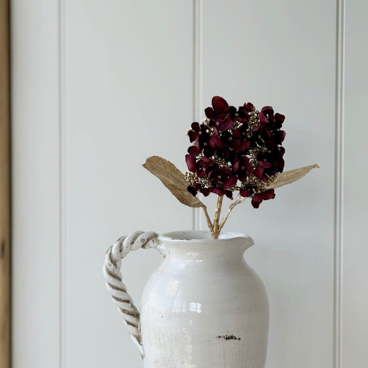 Scarlett Gold Hydrangea