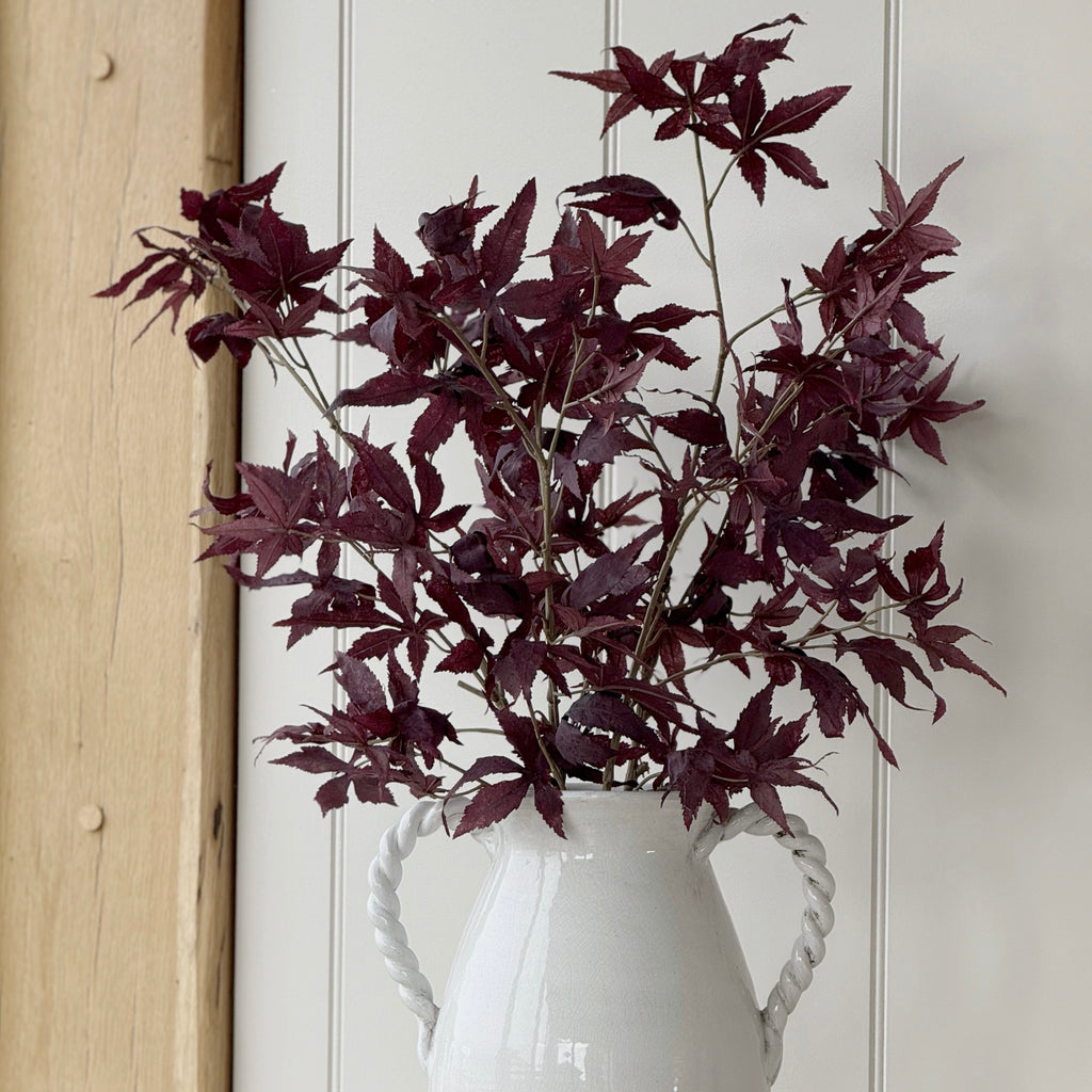 Burgundy Acer Stem