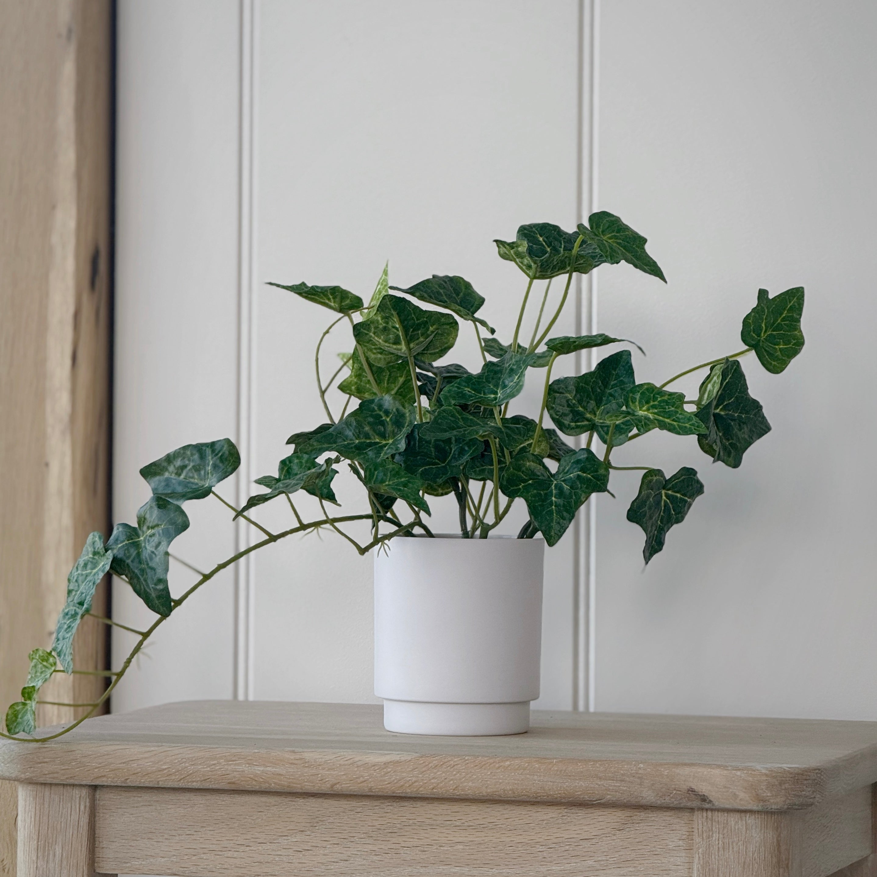 Faux Ivy Plant