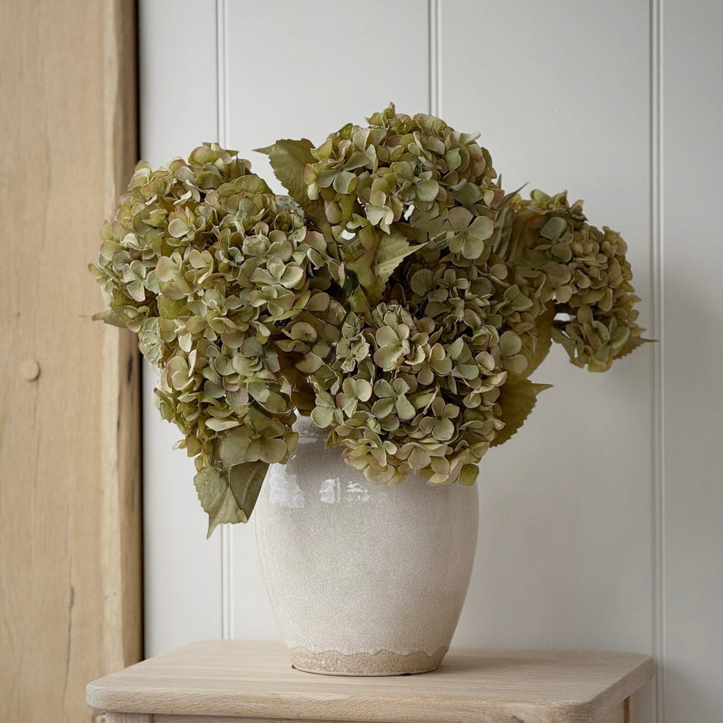 Olive Hydrangea