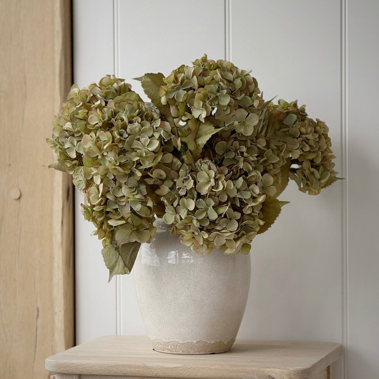 Olive Hydrangea