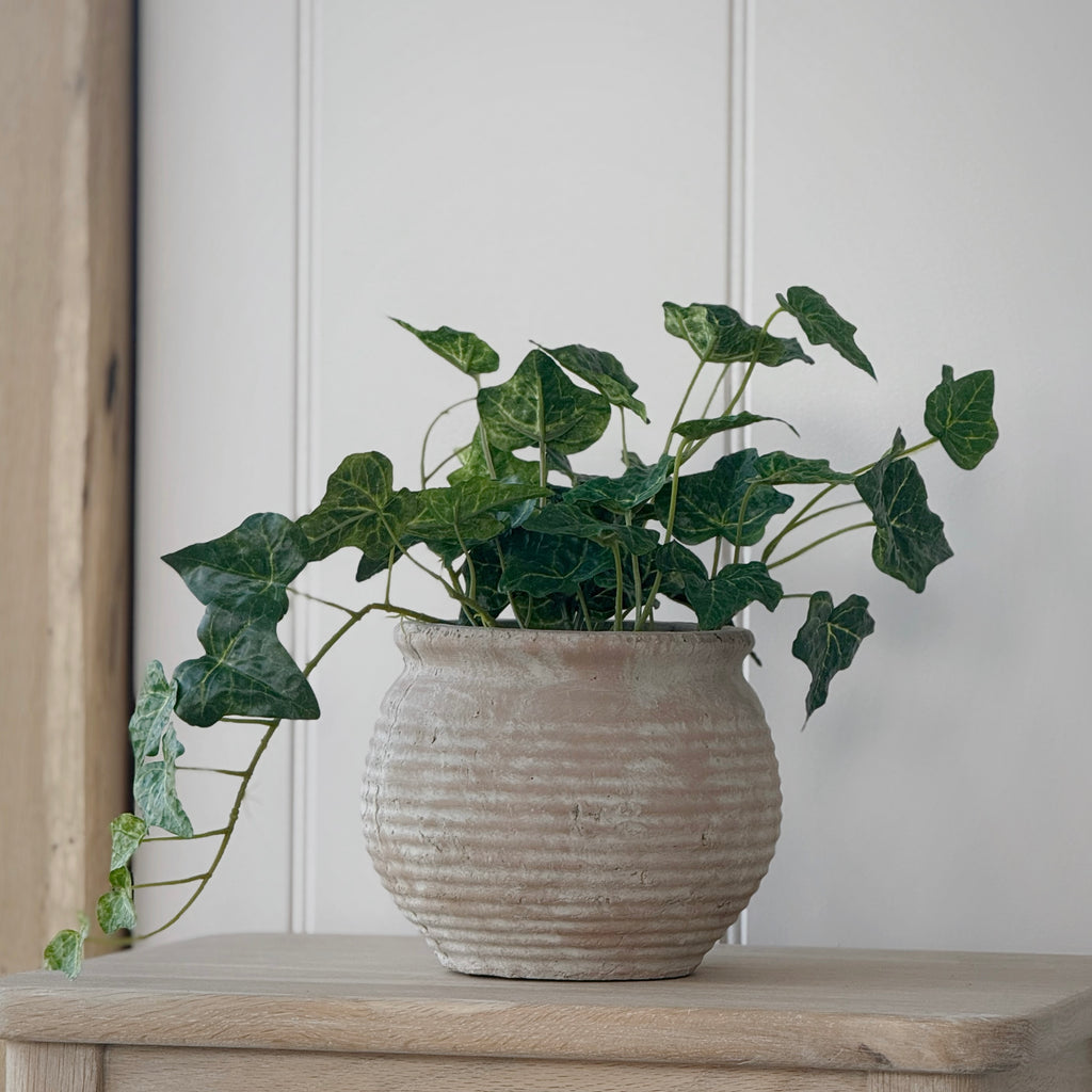 Faux Ivy Plant