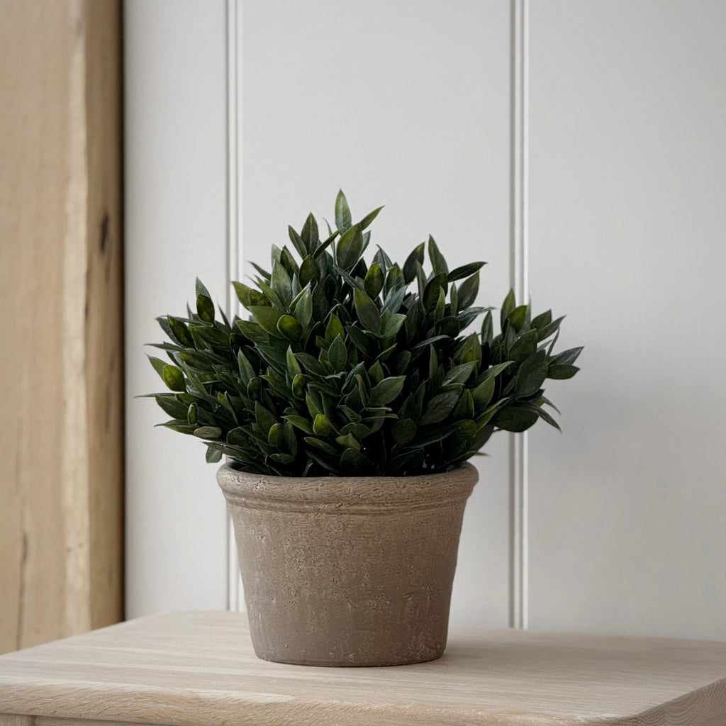 Faux Green Succulent
