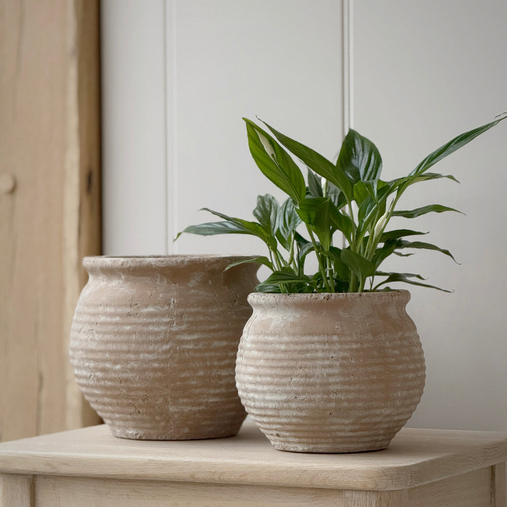 Large Margot Pot
