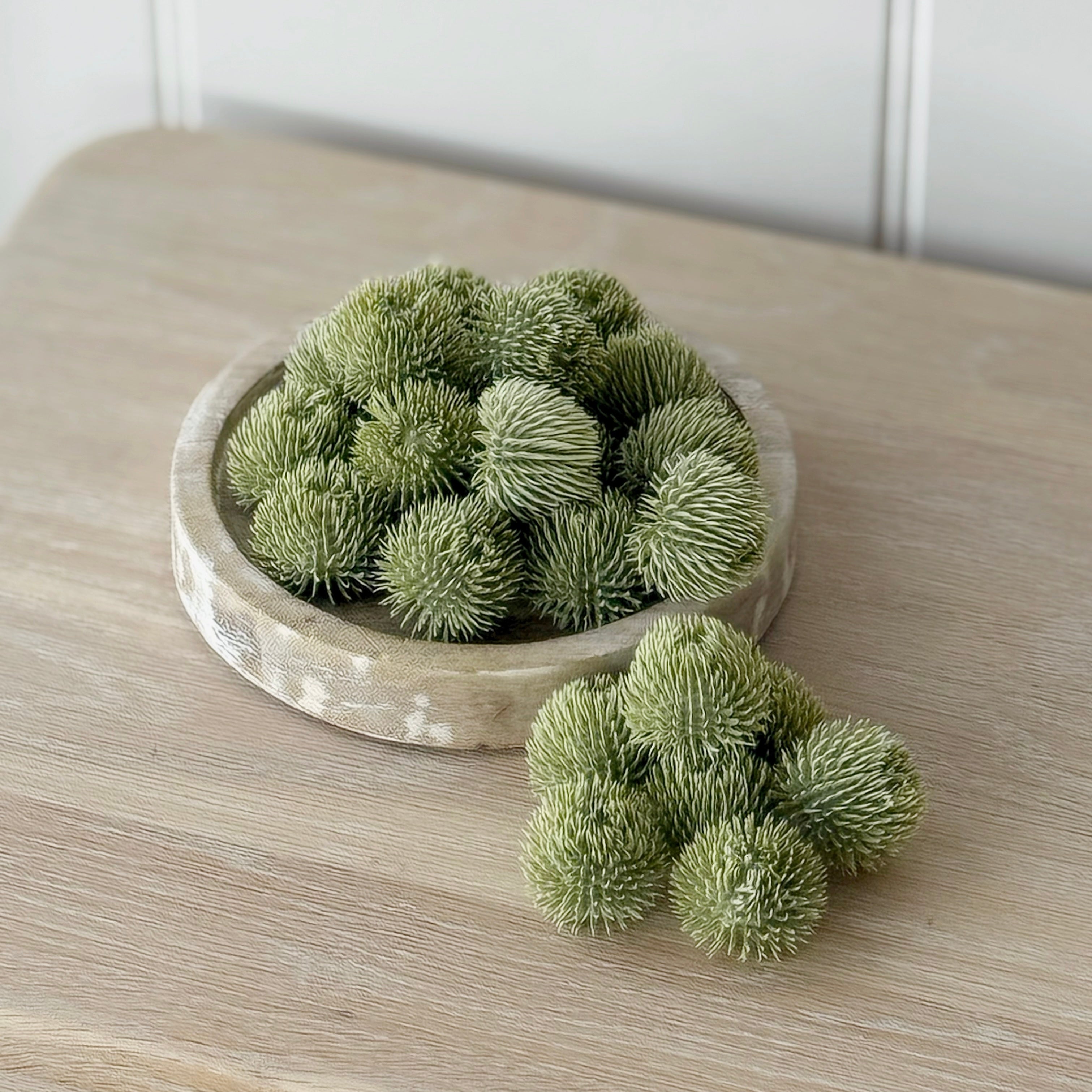 24 Green Echinops Balls