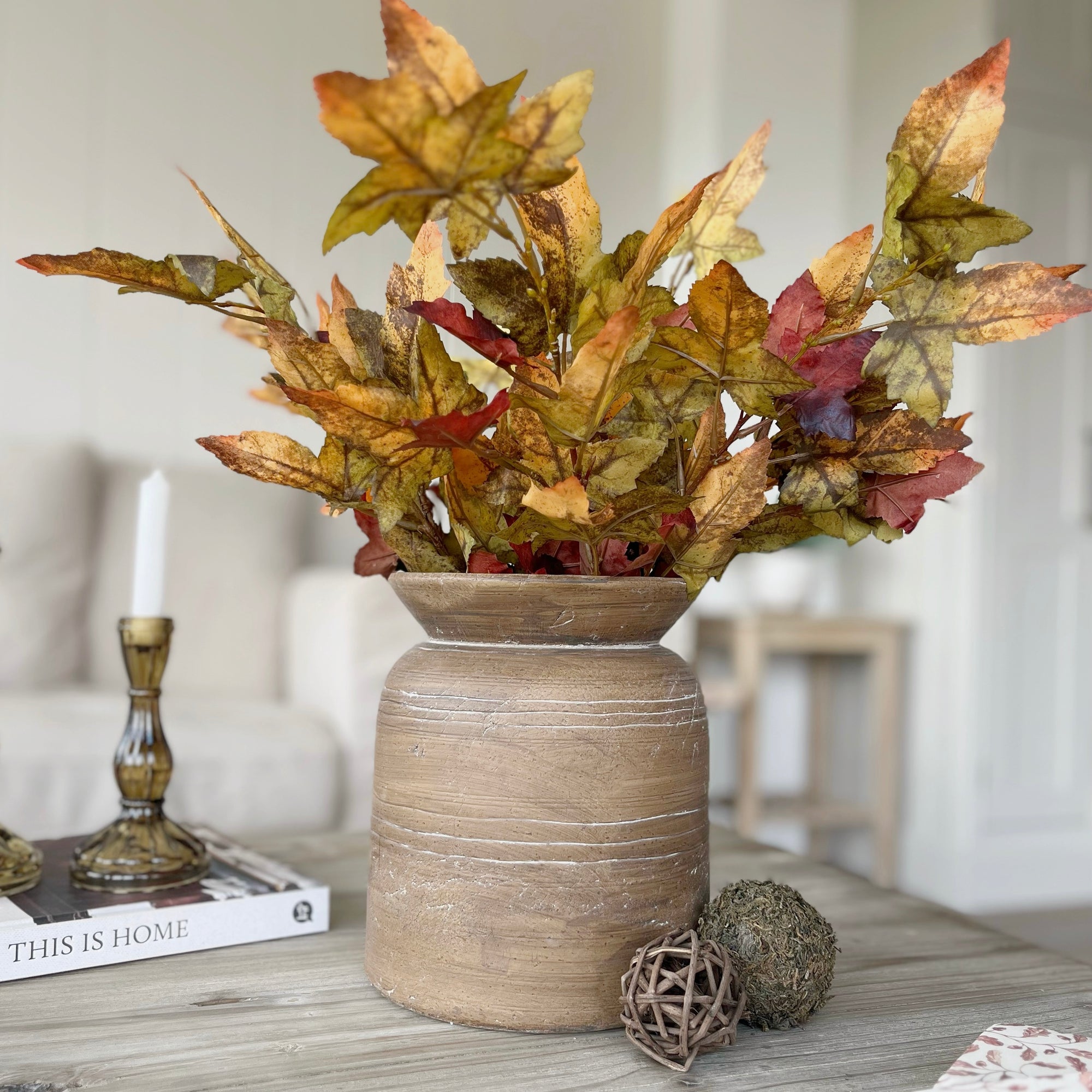 Autumn Maple Stem